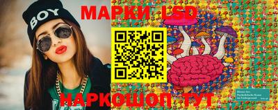 мдпв Заводоуковск